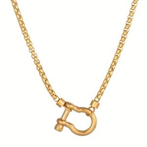 New! Gold Carabiner Waterproof Necklace (2010)